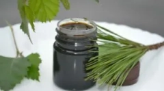 Bříza z myší a potkanů